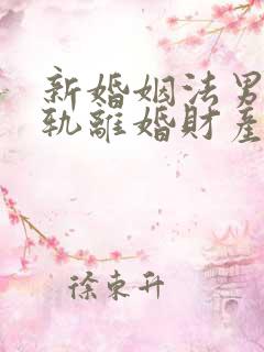 新婚姻法男方出轨离婚财产分割