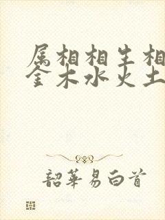 属相相生相克表金木水火土