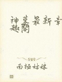 神墓最新章节笔趣阁