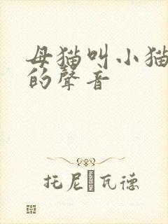 母猫叫小猫过来的声音