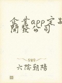 企业app定制开发公司