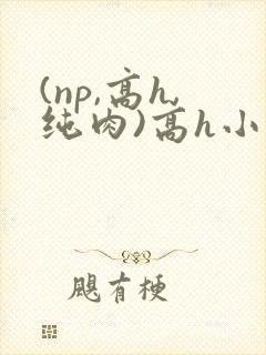 (np,高h,纯肉)高h小说
