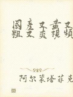 国产又黄又猛又粗又爽视频