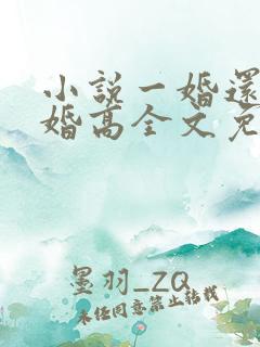小说一婚还比一婚高全文免费阅读