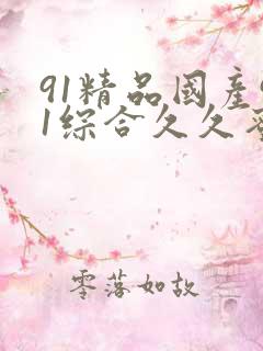 91精品国产91综合久久蜜臀