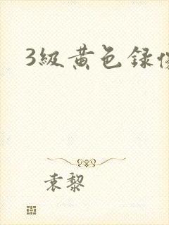 3级黄色录像