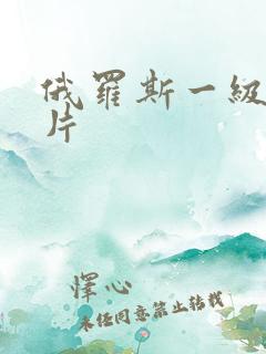 俄罗斯一级伦理片