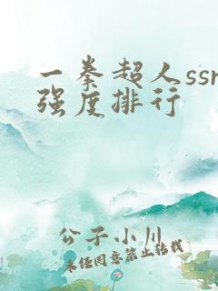 一拳超人ssr强度排行
