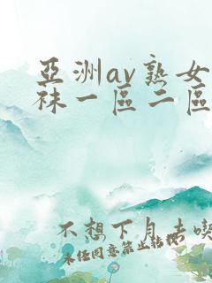 亚洲av熟女丝袜一区二区久久