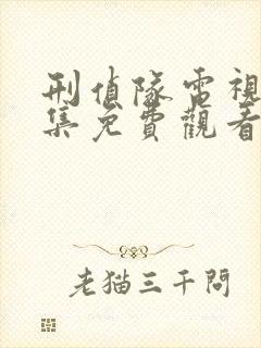 刑侦队电视剧全集免费观看国语