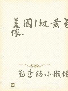 美国1级黄色录像.