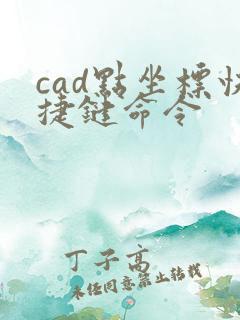 cad点坐标快捷键命令
