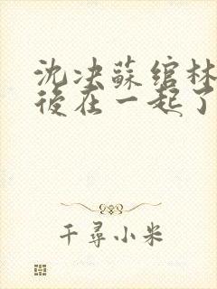 沈决苏绾林曦最后在一起了吗