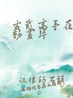 古武高手在都市动画片