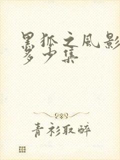 黑狐之风影一共多少集