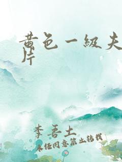 黄色一级夫妻大片