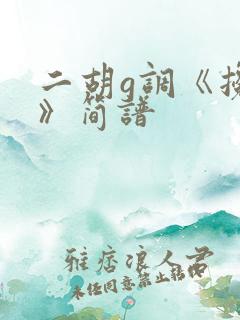 二胡g调《搀扶》简谱