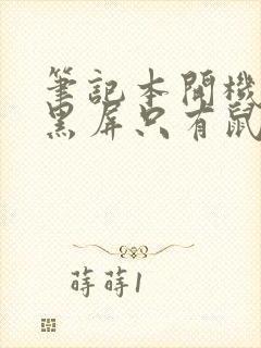 笔记本开机桌面黑屏只有鼠标显示