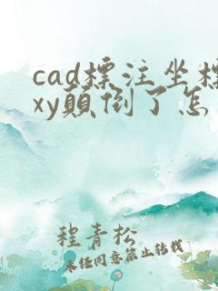 cad标注坐标xy颠倒了怎么改