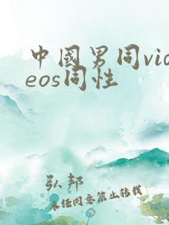 中国男同videos同性