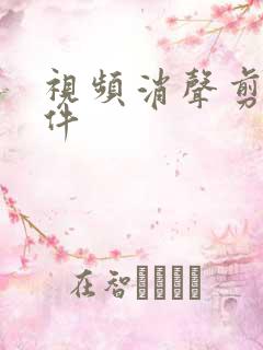 视频消声剪辑软件