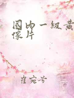 国内一级黄色录像片