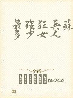 最强狂兵苏锐有多少女人