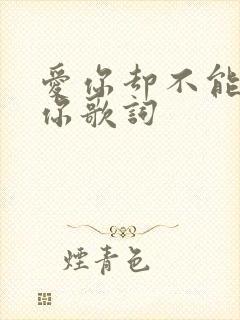 爱你却不能拥有你歌词