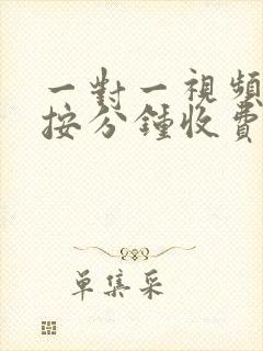 一对一视频聊天按分钟收费的软件