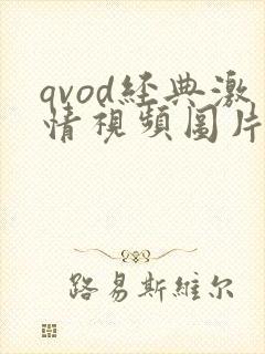 qvod经典激情视频图片小说
