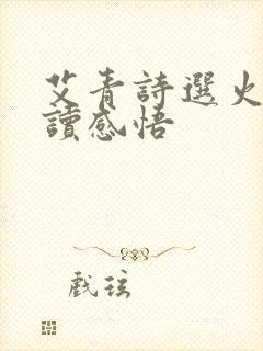 艾青诗选火把阅读感悟