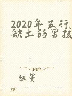 2020年五行缺土的男孩名字