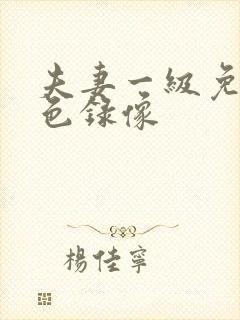 夫妻一级免费黄色录像