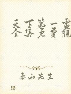 天下第一电视剧全集免费观看高清