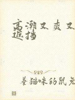 高潮又爽又黄无遮挡