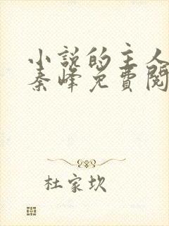 小说的主人公叫秦峰免费阅读