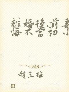 离婚后,前妻她悔不当初 小说