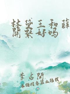 林黛玉和薛宝钗关系好吗