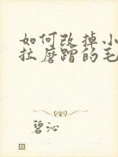 如何改掉小孩拖拉磨蹭的毛病