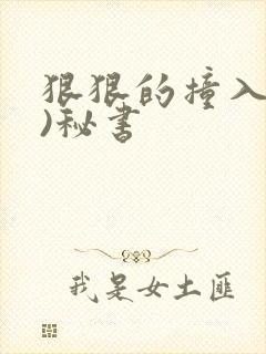 狠狠的撞入(h)秘书