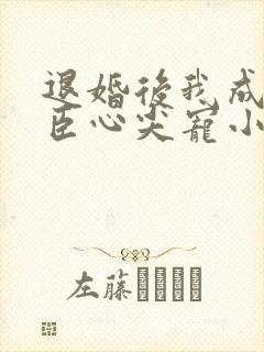 退婚后我成了权臣心尖宠小说txt下载