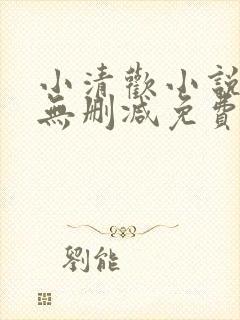 小清欢小说全文无删减免费阅读
