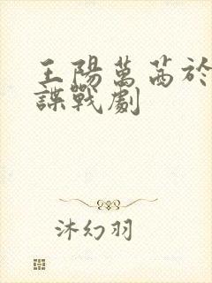 王阳万茜于和伟谍战剧