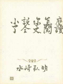 小说你怎么不笑了全文阅读