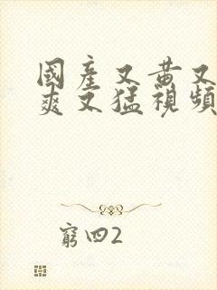 国产又黄又粗又爽又猛视频