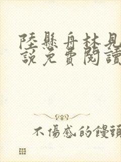 陆悬舟林见椿小说免费阅读最新章节