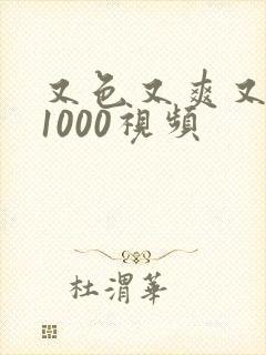 又色又爽又黄的1000视频