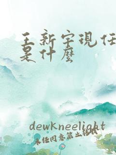 王新宇现任职务是什么