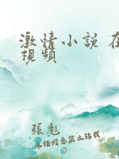 激情小说 在线视频