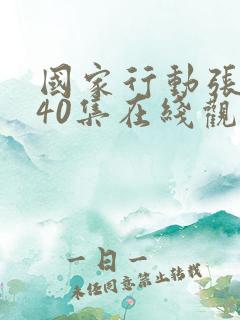 国家行动张译版40集在线观看免费